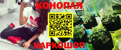 бутик Камышлов