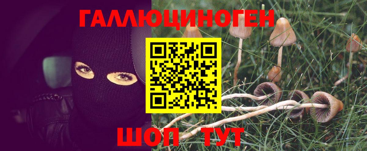 Галлюциногенные грибы Magic Shrooms Кунгур
