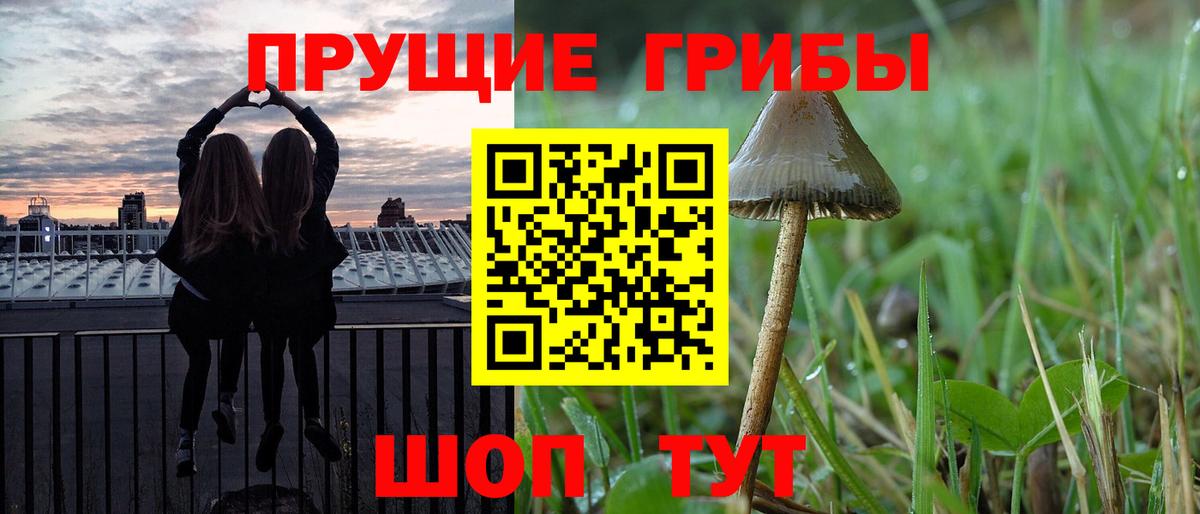 купить наркоту  Вход с VPN  Кунгур  Псилоцибиновые грибы MAGIC MUSHROOMS 